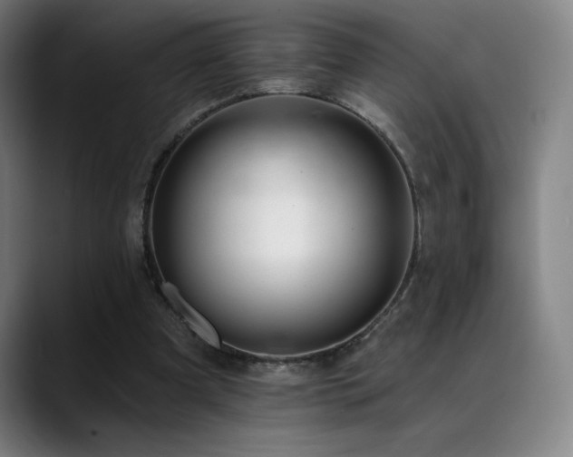 X0000089420297200706151255