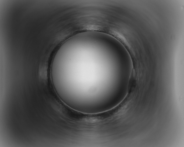 X0000089420299200706151255