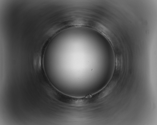 X0000089420301200706151255