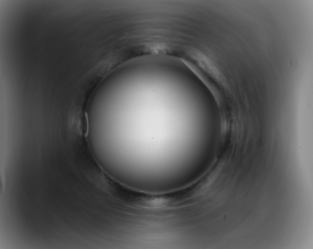 X0000089420313200706151255