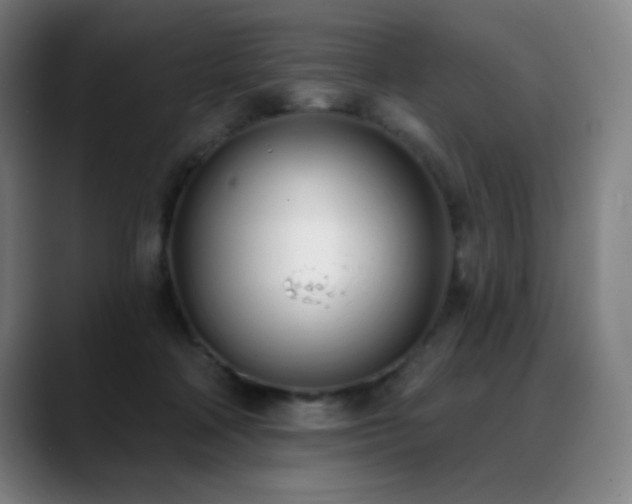 X0000089420314200706151255