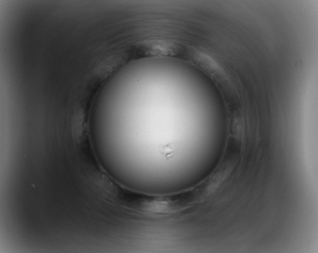 X0000089420318200706151255