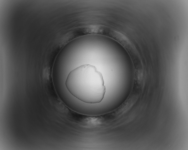 X0000089420326200706151255