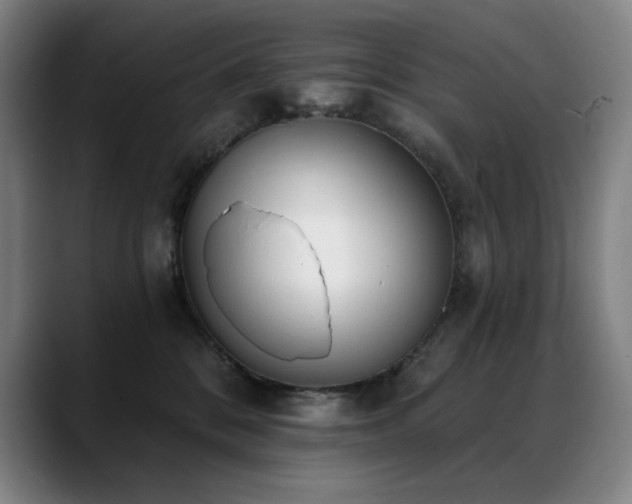X0000089420328200706151255