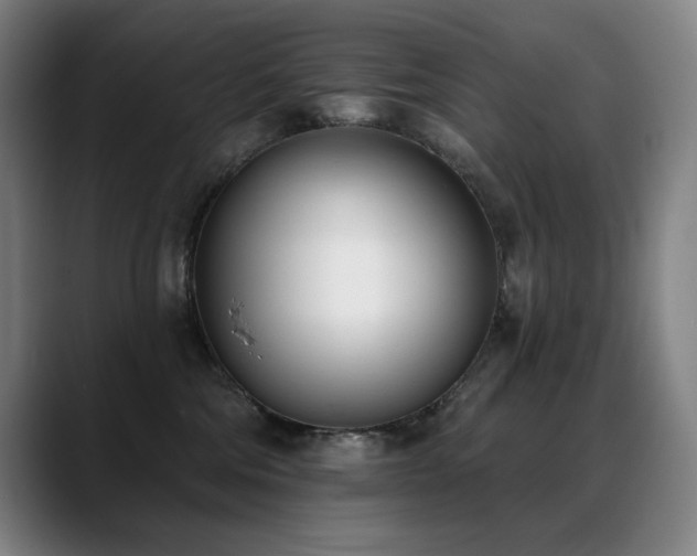 X0000089420330200706151255
