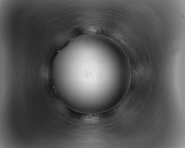 X0000089420331200706151255