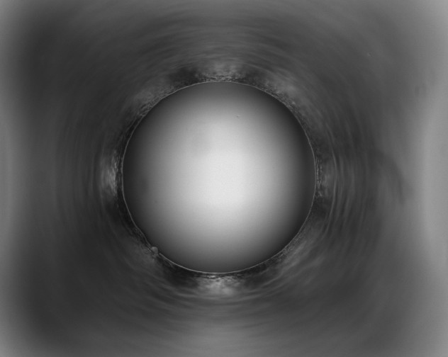 X0000089420334200706151255