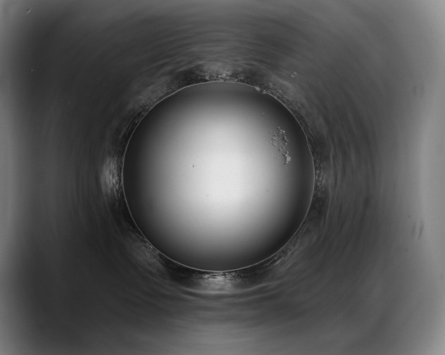 X0000089420335200706151255