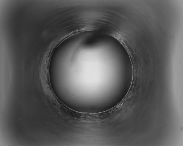 X0000089420337200706151254