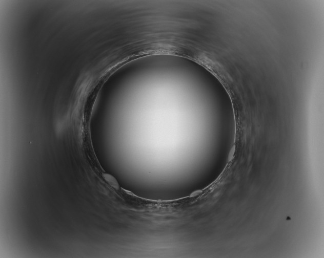 X0000089420338200706151254