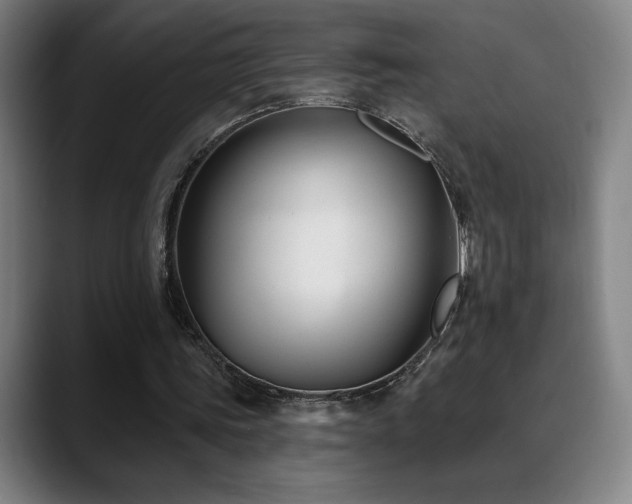 X0000089420339200706151254