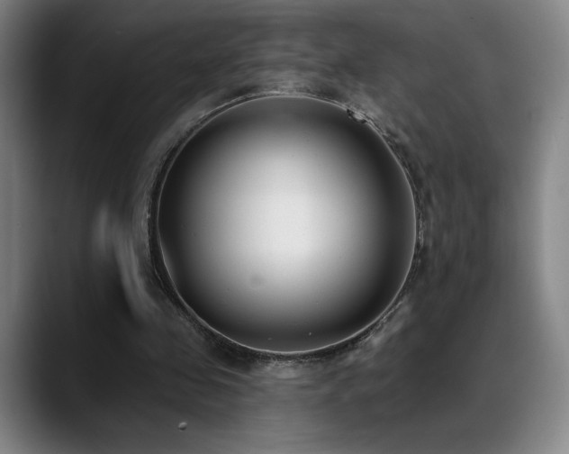 X0000089420341200706151254