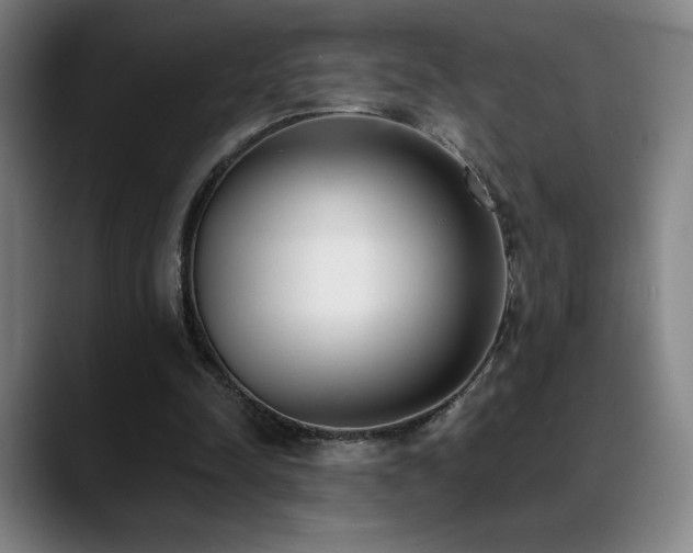 X0000089420342200706151254