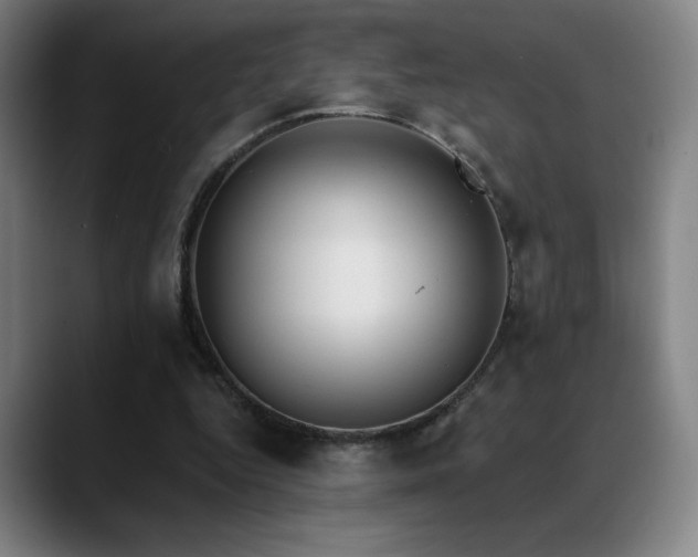 X0000089420344200706151254