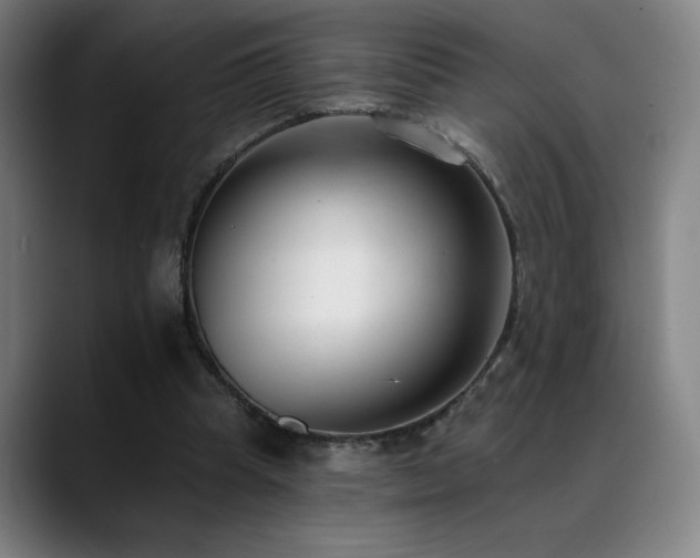X0000089420345200706151254