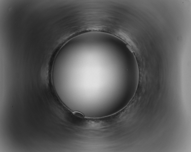 X0000089420346200706151254