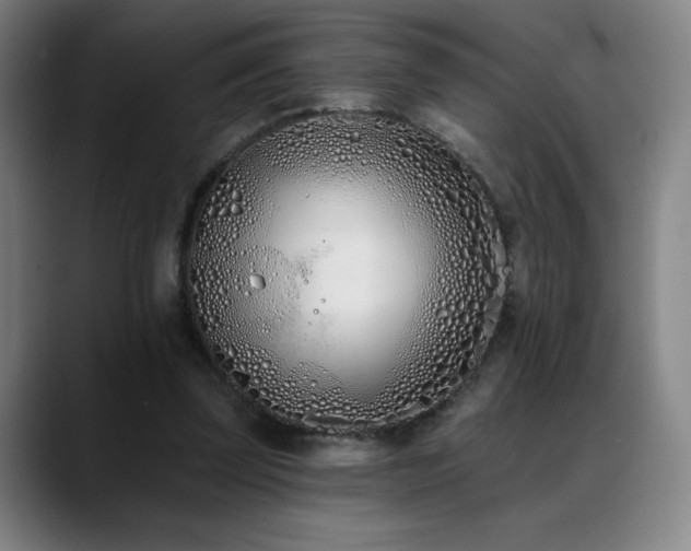 X0000089420347200706151254