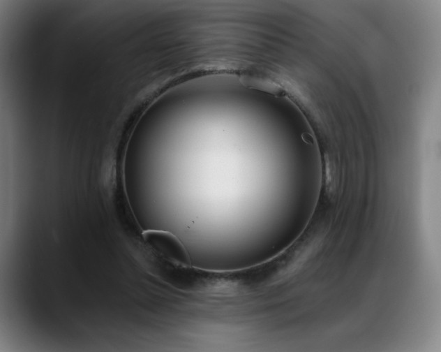 X0000089420348200706151254