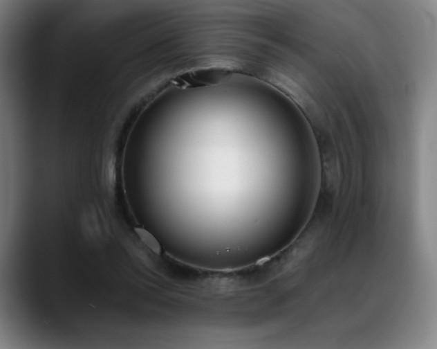 X0000089420350200706151254