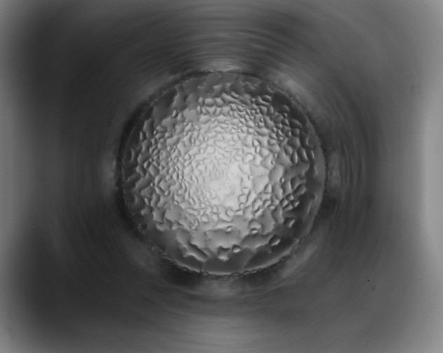 X0000089420351200706151254