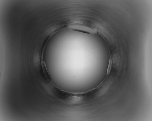 X0000089420352200706151254
