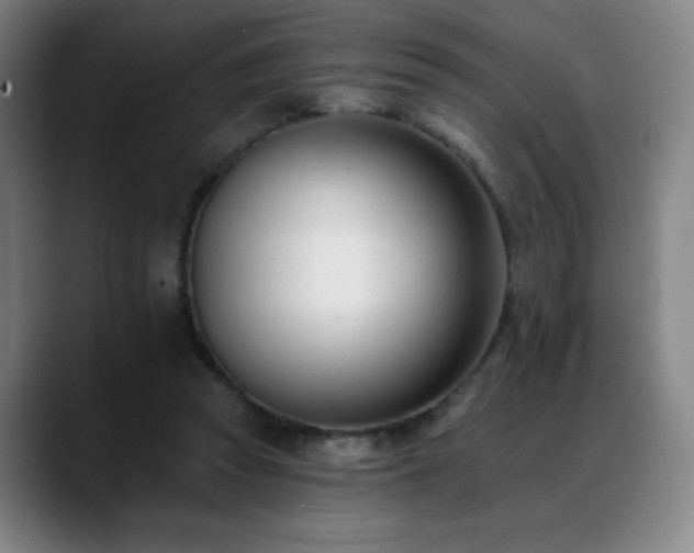 X0000089420353200706151254