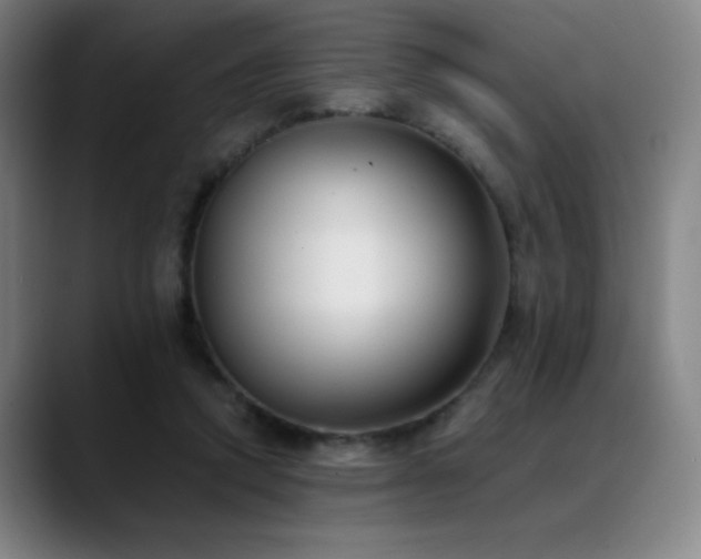 X0000089420354200706151255