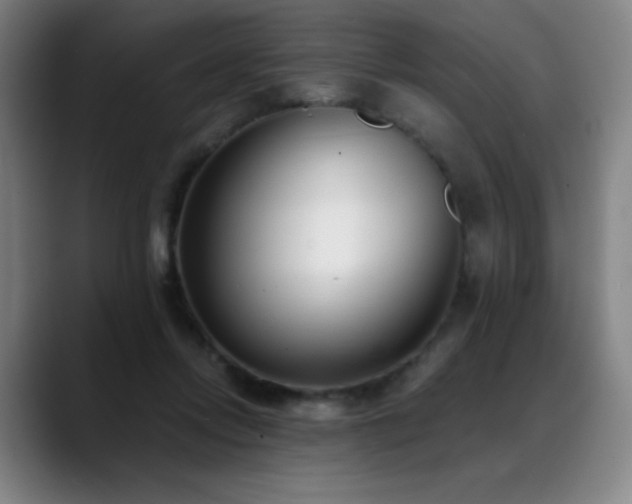 X0000089420358200706151255