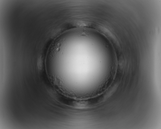 X0000089420359200706151255