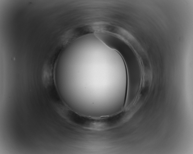 X0000089420360200706151255
