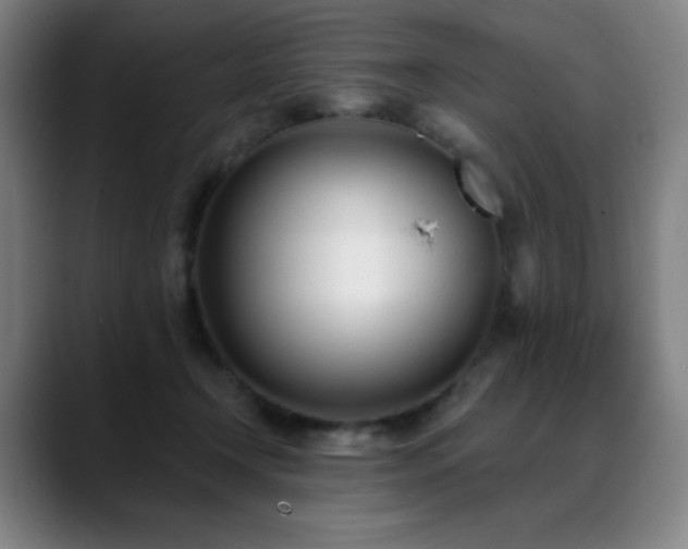 X0000089420366200706151255