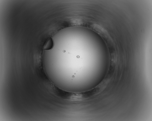 X0000089420369200706151255