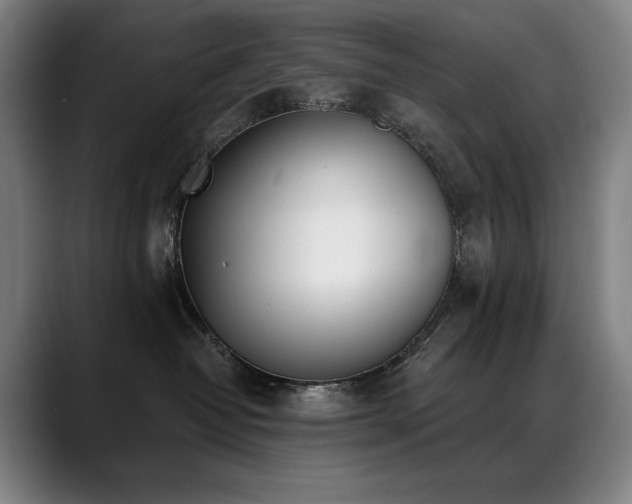 X0000089420382200706151255