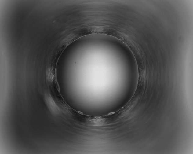 X0000089420383200706151255