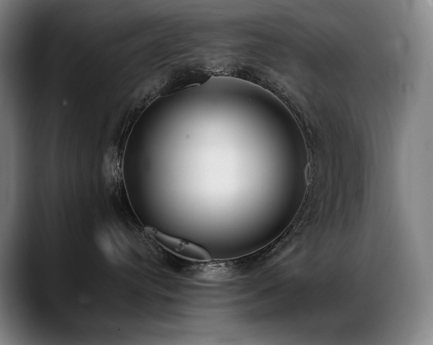 X0000089420384200706151255