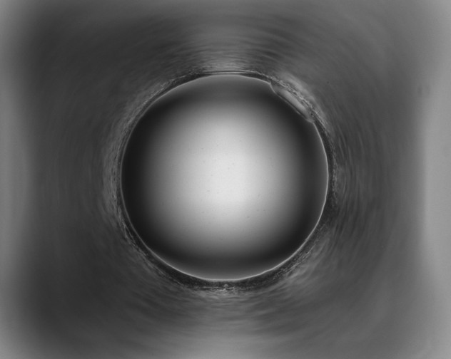 X0000089420385200706151254