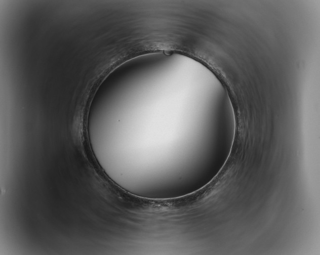X0000089420386200706151254