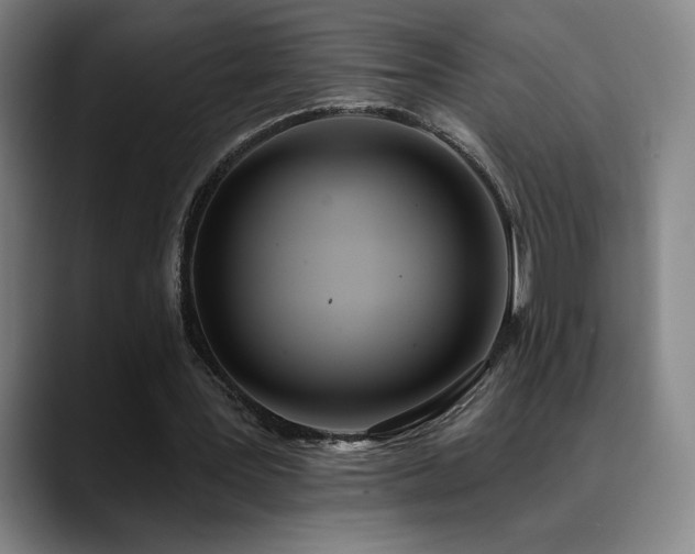 X0000089420387200706151254