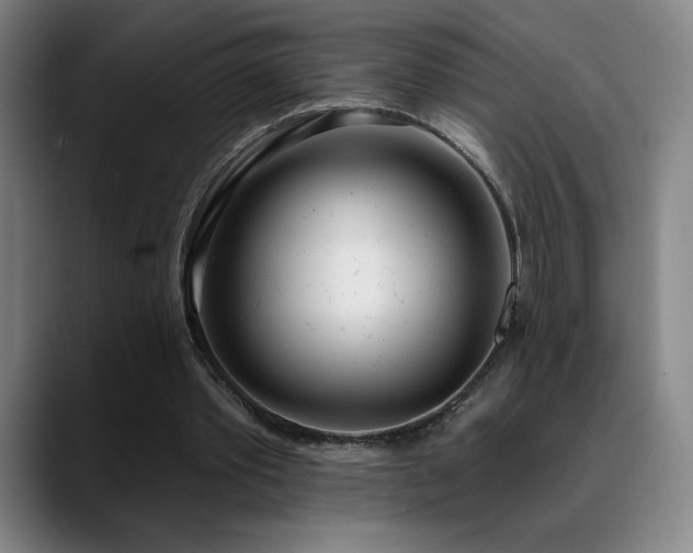 X0000089420389200706151254