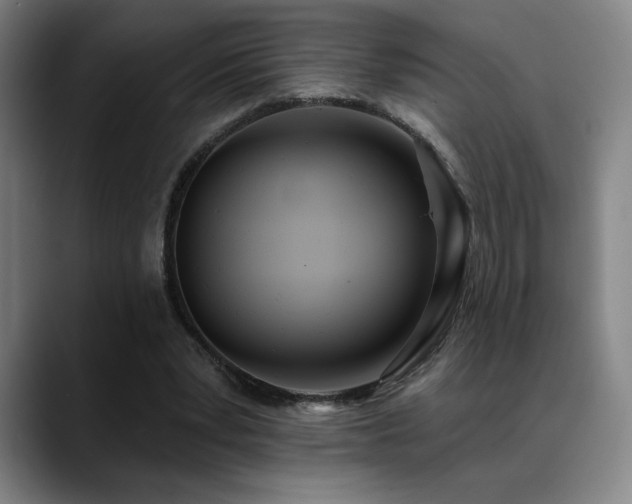 X0000089420391200706151254