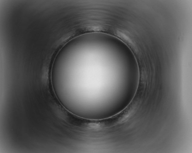 X0000089420394200706151254