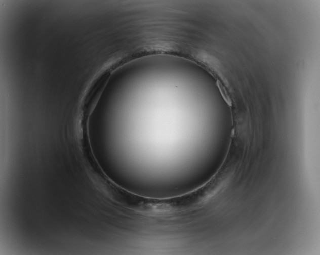 X0000089420395200706151254
