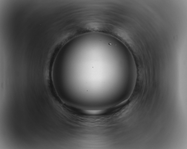 X0000089420399200706151254
