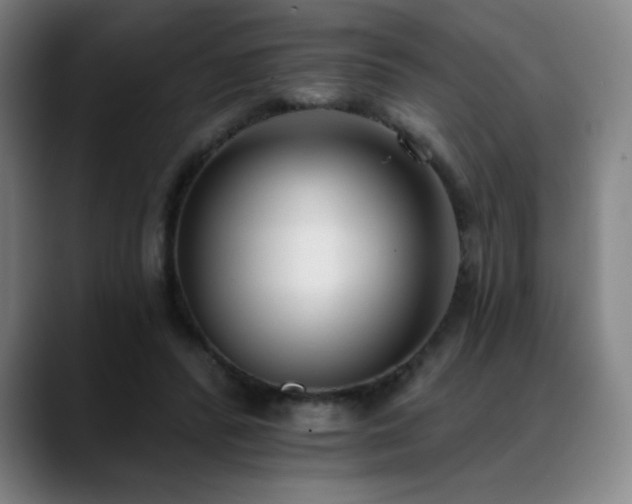 X0000089420400200706151254
