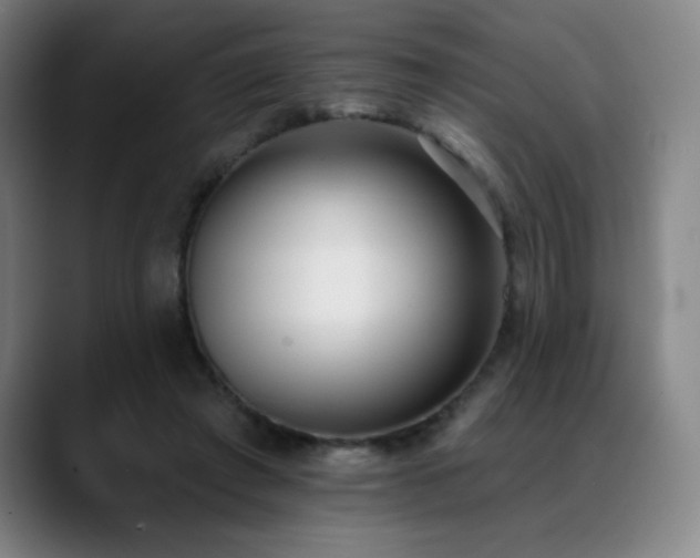 X0000089420401200706151254