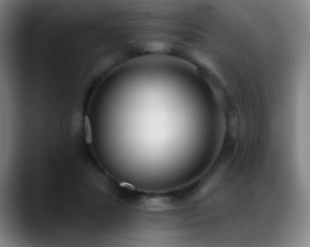 X0000089420407200706151254