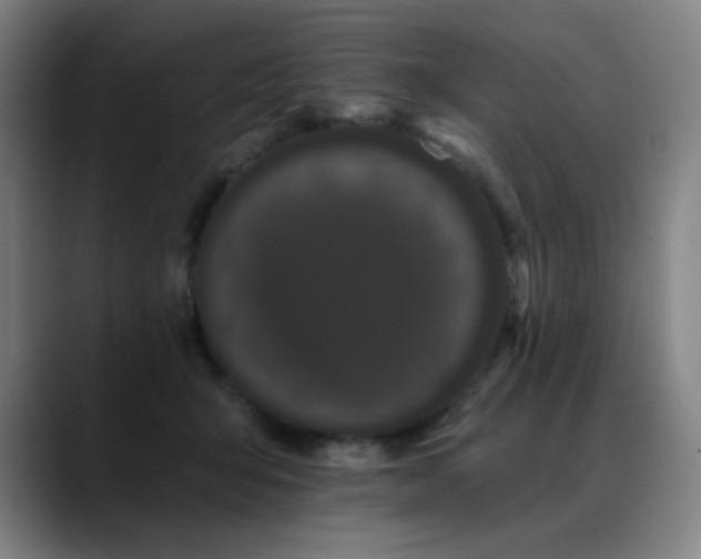 X0000089420415200706151254