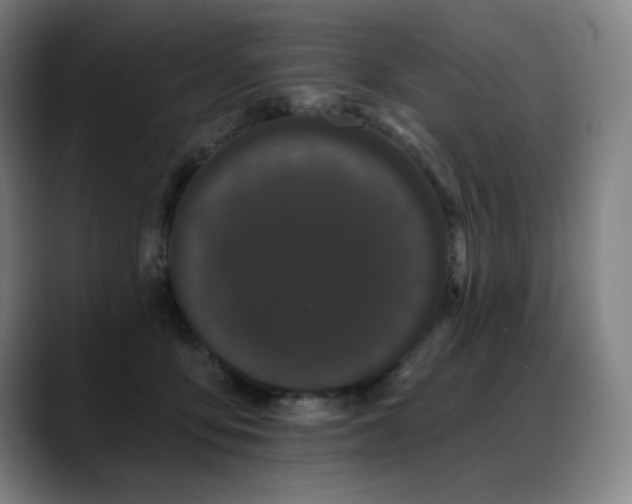 X0000089420419200706151254