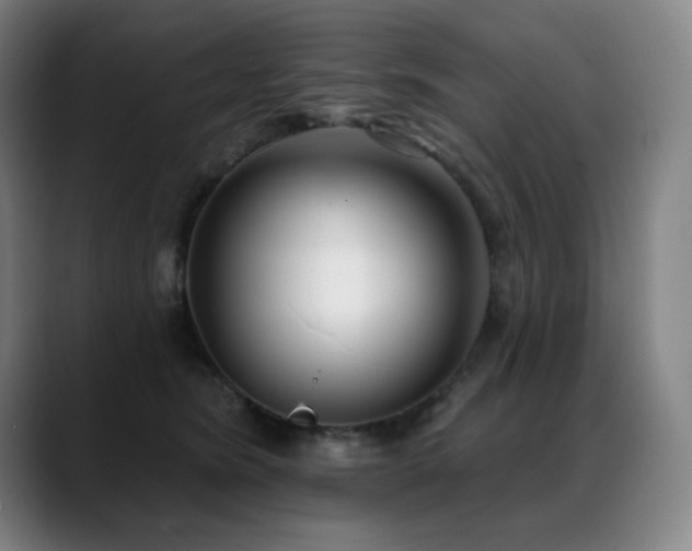 X0000089420420200706151254