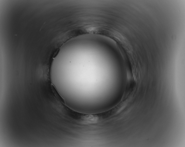 X0000089420421200706151254